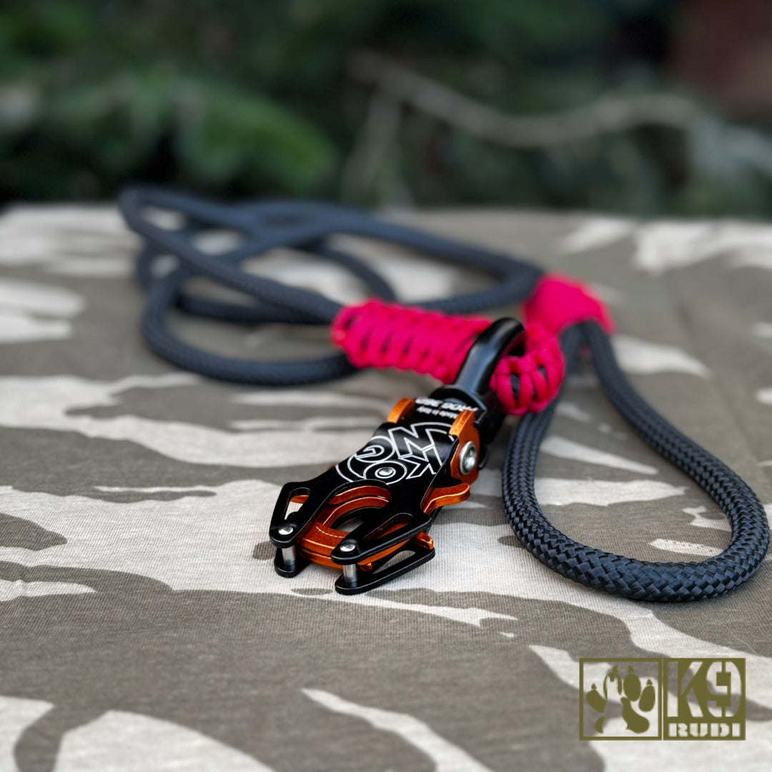 Dog collar custom