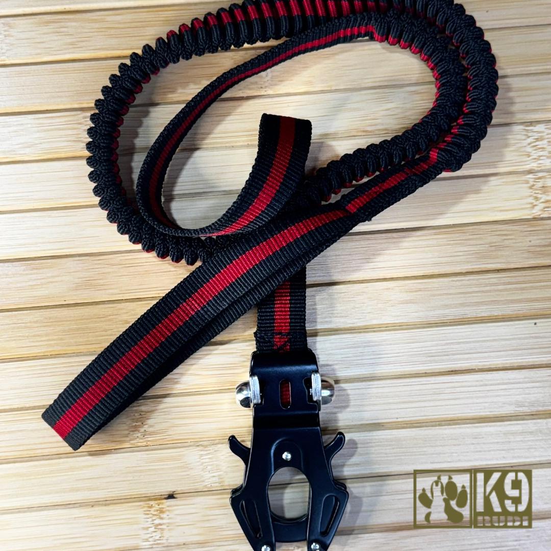 Dog Training Nylon Leash Elastic Bungee Kong Frog